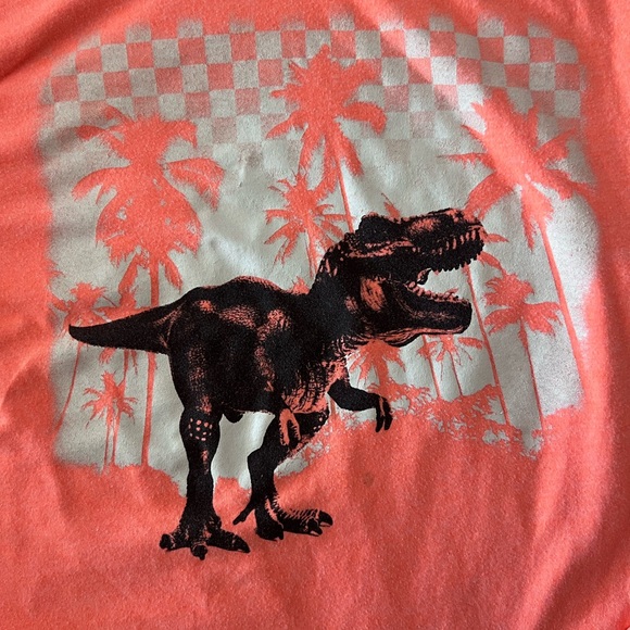 Cat & Jack Blue Dinosaur Tee and Arizona Orange T-Rex Long Sleeve Mini Bundle 🦖 - Picture 4 of 12